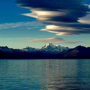 Meet your Posher, Bennett